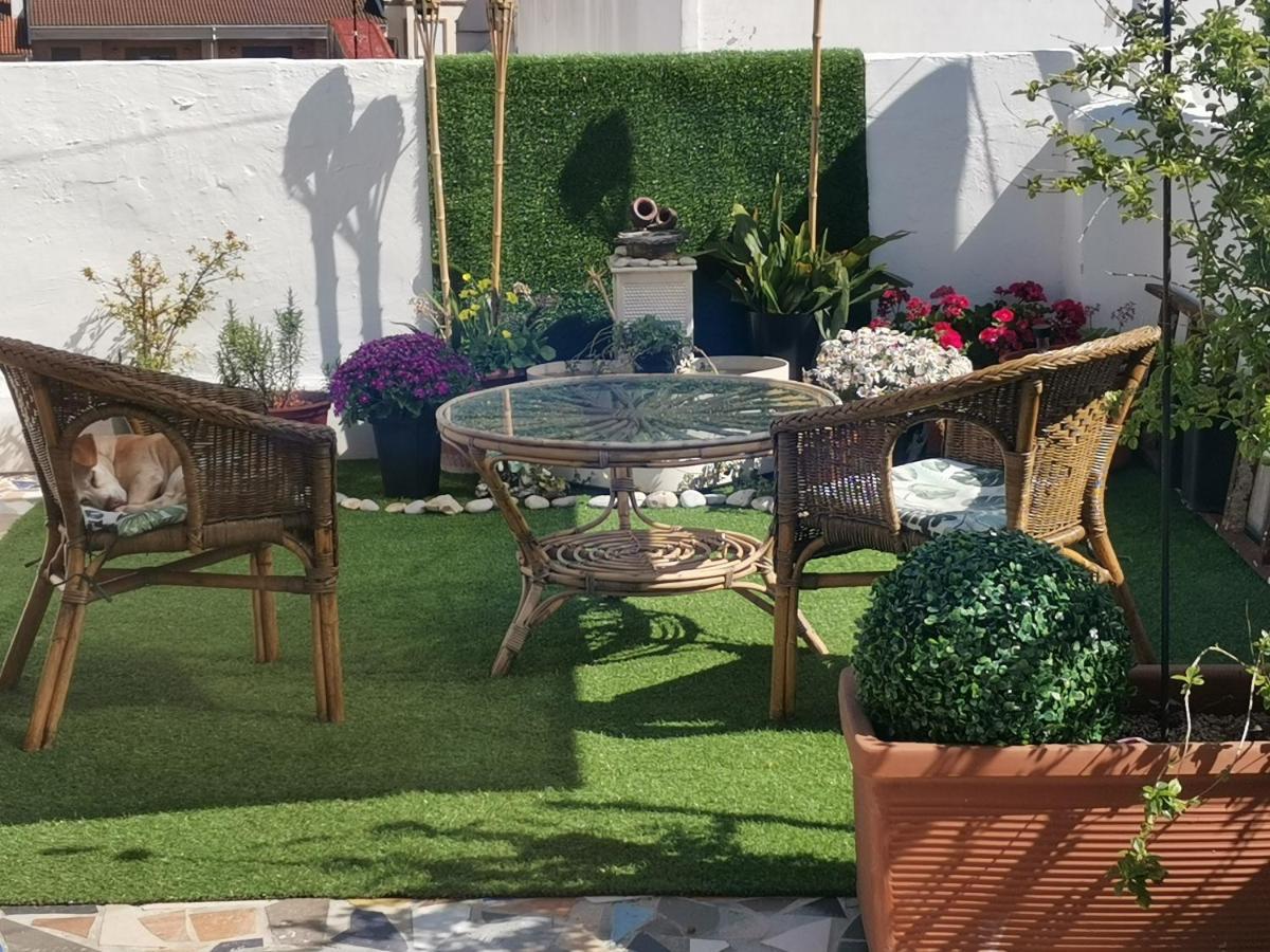 Habitacion Centro גאנדיה מראה חיצוני תמונה